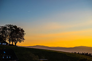 Herrliches Farbenspiel