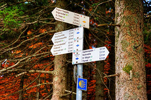 Gut ausgeschilderte Wanderwege rund um St. Märgen