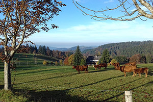 Herbst in St. Märgen