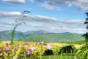 Ein beliebtes Wander- und Ausflugsziel: der Feldberg