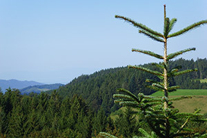 Herrlicher Ausblick