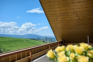 Aussicht vom Balkon