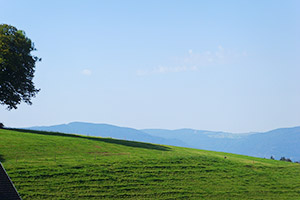 Aussicht vom Balkon