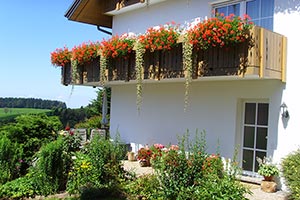 Eingang Ferienwohnung Schwalbe